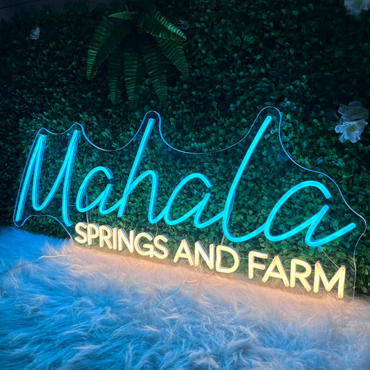 Custom Neon Sign, Neon Sign Customizable Large LED Wedding Neon Name Lights Sign, Custom Neon Signs Personalized for Wedding Anniversary, Neon Light Up Sign for Christmas Party Gift Sign